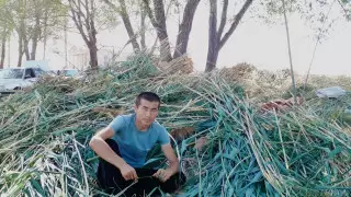 "Я не жду благодарностей": поступок парня из Шымкента восхитил Казнет