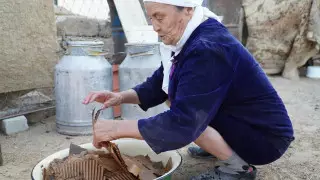 Блогер показал, как картоном кормят скот в Мангистау