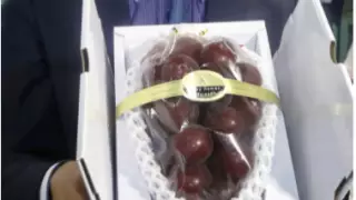 Гроздь винограда продали за 12,7 тысячи долларов в Японии