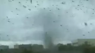 Смерч из комаров сняли на видео в России