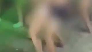 БҚО-дағы жағажайда жалаңаш билегендердің видеосы тарады