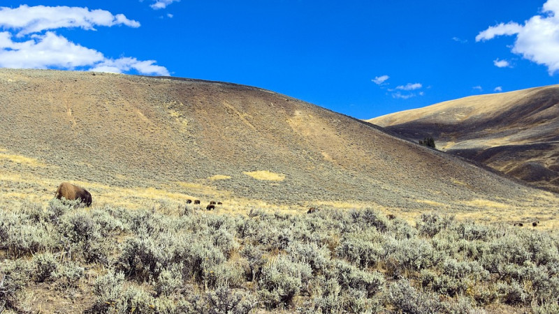 Иллюстрация: