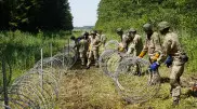 Литве не хватило проволоки для возведения забора от нелегалов из Беларуси