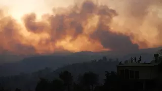 Пожарные тушат лесные пожары в 6 провинциях Турции