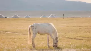 "Будто ты герой фильма": пейзажи Кыргызстана поразили алматинца