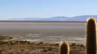 Экологическое бедствие: озеро полностью высохло в Боливии