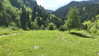 Разводить костры запретили на территории Иле-Алатауского парка