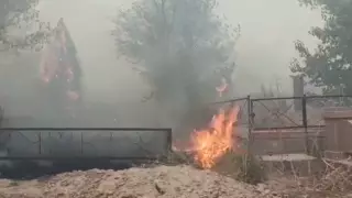 Пожар произошел на Бурундайском кладбище в Алматы