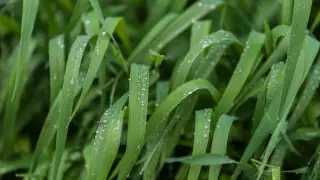 Прохлада придет в выходные в Казахстан