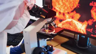 ВОЗ создаст новую группу для расследования происхождения COVID-19