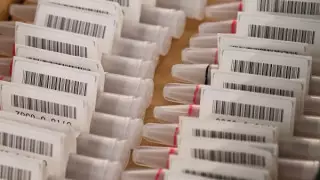 Супругов будут судить за поддельные ПЦР-тесты в Актобе