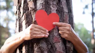 Чемпионат мира по обниманию деревьев проходит в Финляндии