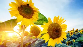 Какая погода ждет казахстанцев на выходных