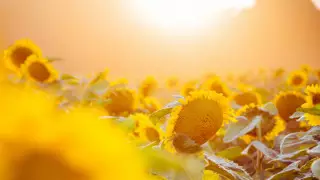 О погоде в Казахстане на 21 августа рассказали синоптики