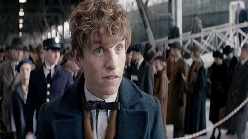 Кадры из фильма "Фантастические твари и где они обитают"