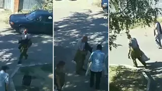 Молотком забили собаку в мешке неизвестные в Костанае