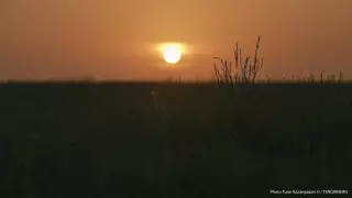 Чрезвычайно пожароопасная погода ожидается в 9 областях Казахстана