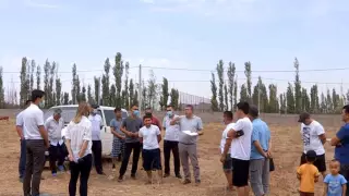 Бизнесмен отгородил полукилометровой стеной четыре улицы в Шымкенте