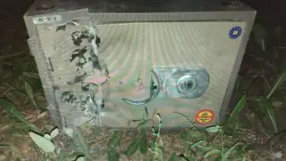 Рабочий выбросил сейф с деньгами из окна квартиры в Нур-Султане