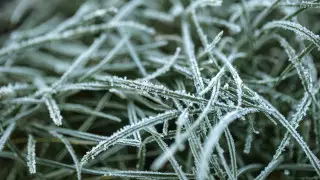 Заморозки и сильные дожди: погода в Казахстане на 3 дня