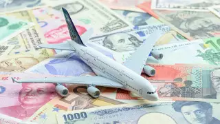 Допуслуги принесли большую прибыль лоукостерам - исследование