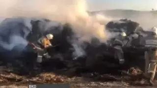 Скот может остаться без еды зимой из-за поджогов сена в ВКО