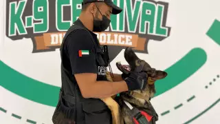 В аэропортах ОАЭ коронавирус начали выявлять с помощью собак