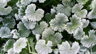 Дожди и заморозки до 3 градусов: погода в Казахстане на 3 дня