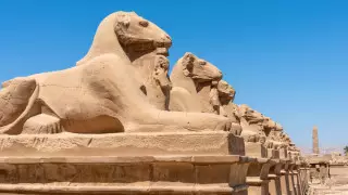 Аллею сфинксов откроют для туристов в Египте