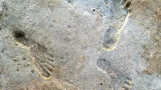 Ученые нашли самые ранние свидетельства о людях в Америке