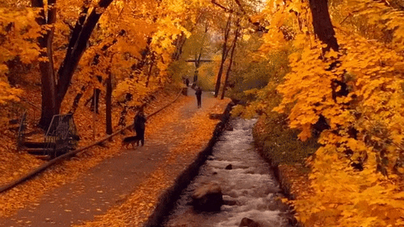 Фото:instagram.com/vkadre_kz