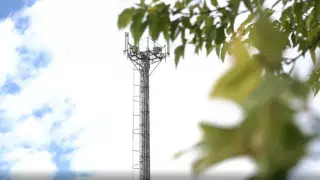 "Пощупать" интернет своими руками