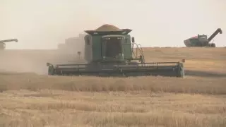 Необычный способ борьбы с засухой придумал казахстанец