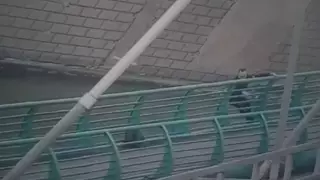 Видео спасения беременной женщины, спрыгнувшей в реку, показали в полиции Нур-Султана