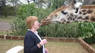 #Юморзасасывает. В Сети запустили флешмоб в поддержку "Камызяков" после поцелуя