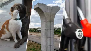 Дизельный кризис, дома на кладбище и дело об LRT. Главное за неделю