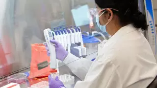 Выявлены различия в иммунном ответе на COVID-19