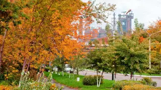 "АрселорМиттал Темиртау" переходит на газ