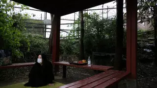 Жители Северной Кореи подвергаются риску голодной смерти - ООН