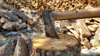 Талибы запретили вырубку леса в Афганистане