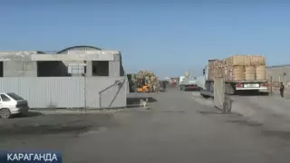 Экологи оштрафовали целлюлозно-бумажный комбинат в Караганде