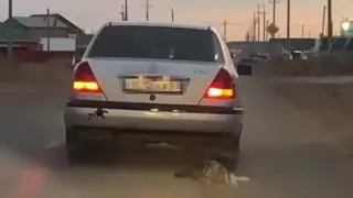 Собаку привязали к авто и протащили по улицам Уральска