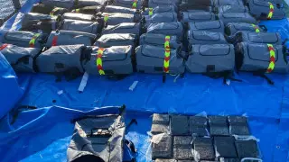 Крупнейшую плантацию марихуаны обнаружили в Европе