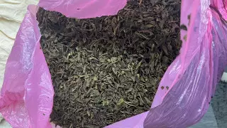 Больше тонны листьев наркотического кустарника изъяли в Германии