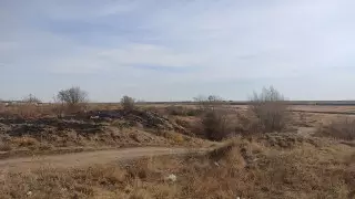 Неизвестные в поисках металла перекопали памятник эпохи бронзы в Рудном