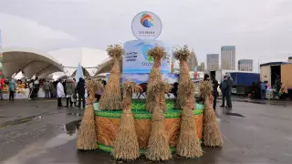 Более тысячи тонн продукции привезли из СКО на столичную ярмарку