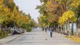 1573 заболевших коронавирусом зарегистрировано за сутки в Казахстане