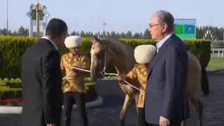 Бердымухамедов подарил Токаеву щенка тазы и ахалтекинского коня