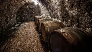 Первый промышленный винный завод нашли археологи в Ираке