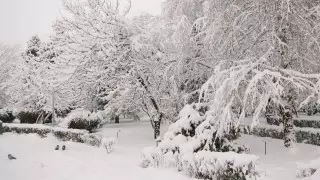 Какая погода ждет казахстанцев в ноябре